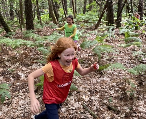 Jeux en forêt